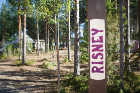 Risney